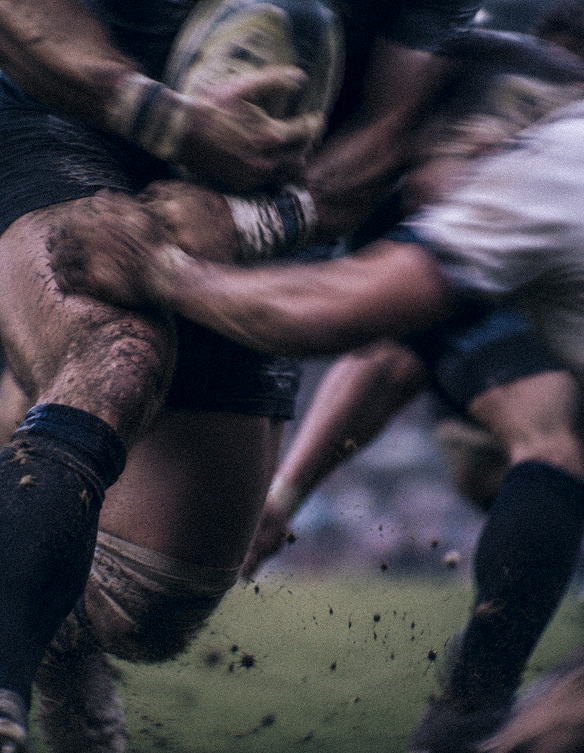 Rugby players playing rugby, close up image portrait